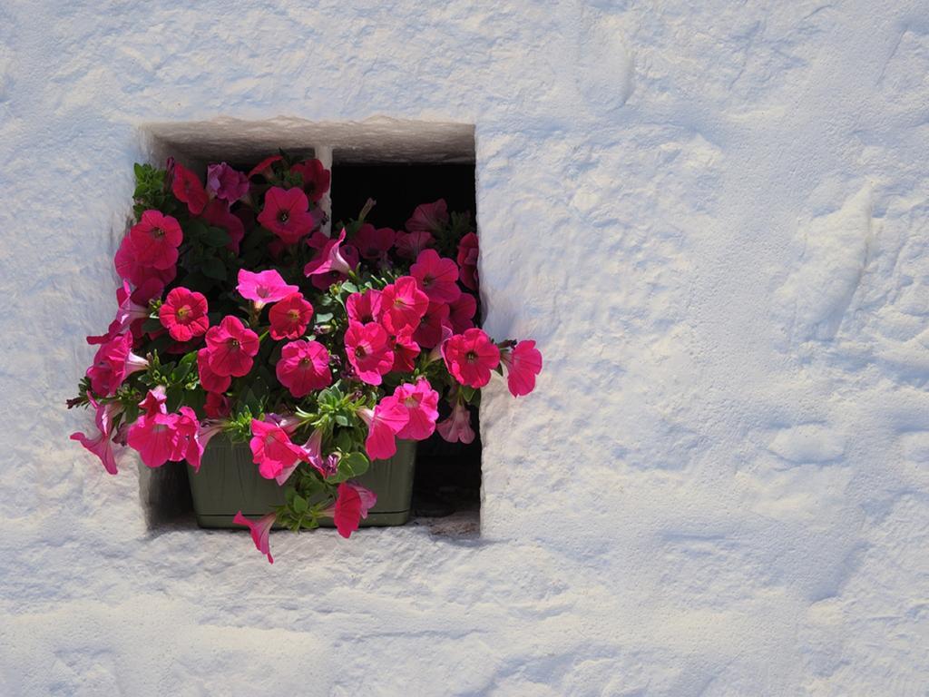 Bed & Breakfast Romantic Trulli